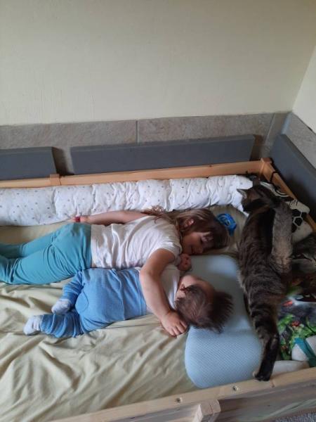 Bild zu