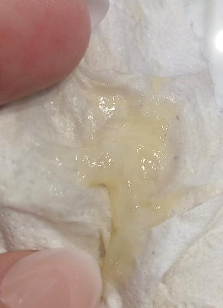 Bild zu Schleimpropf - Forum für März - Mamis