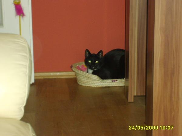 Bild zu 