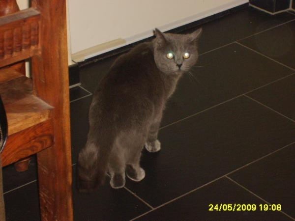 Bild zu 