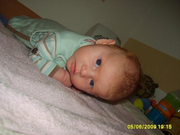 Bild zu