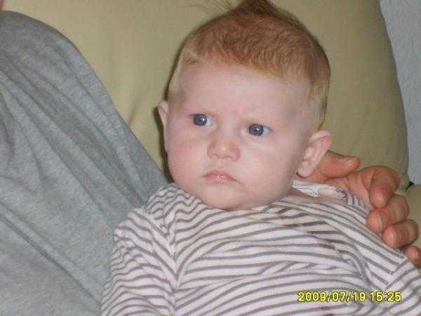 Bild zu
