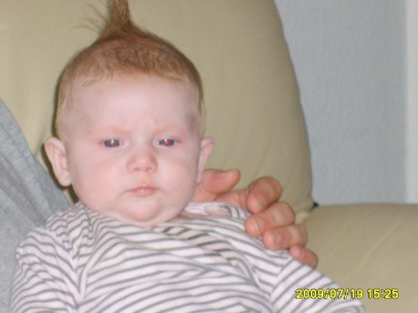 Bild zu 