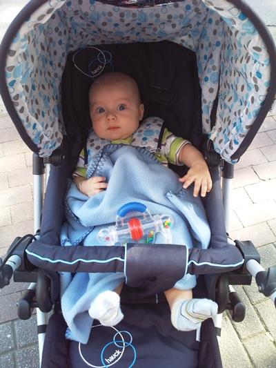 Bild zu 