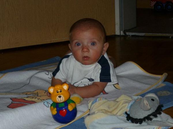 Bild zu 