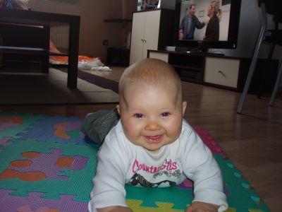 Bild zu 
