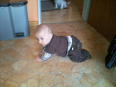Bild zu 