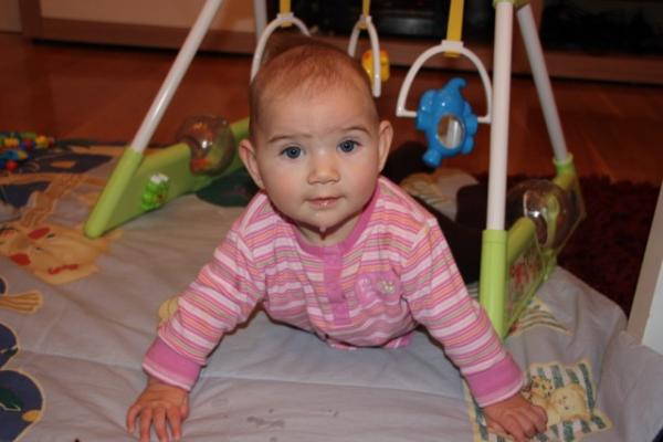 Bild zu 