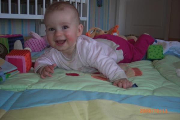 Bild zu