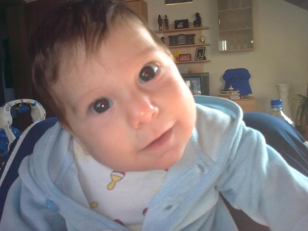 Bild zu