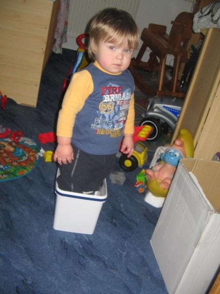 Bild zu