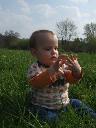 Bild zu Mal ein Zwergen-Frühlings-Bild! - Forum für April - Mamis