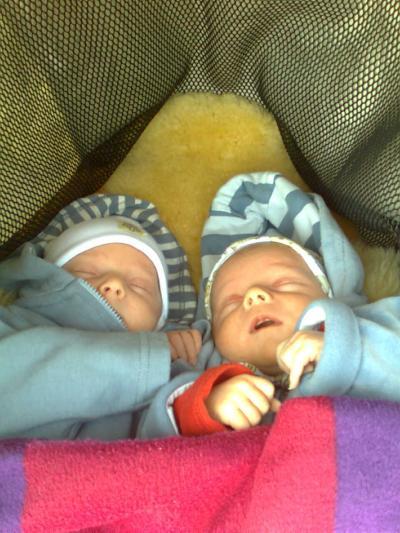 Bild zu auch mal noch ein bild unserer zwerge:-) - Forum für April - Mamis