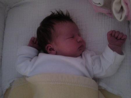 Bild zu 