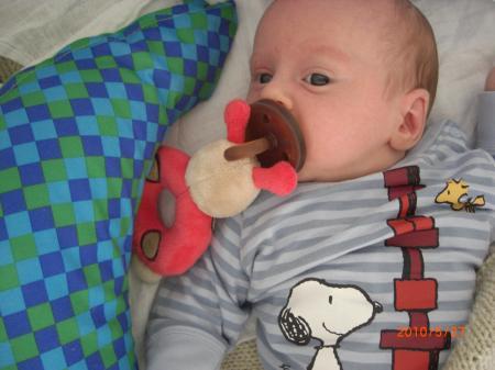 Bild zu