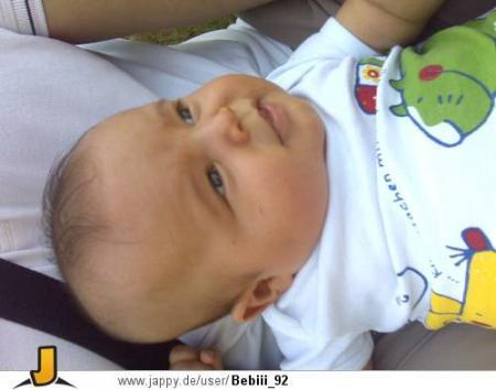 Bild zu 