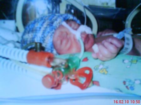 Bild zu 