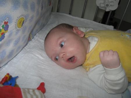 Bild zu 