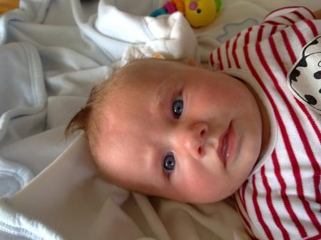 Bild zu