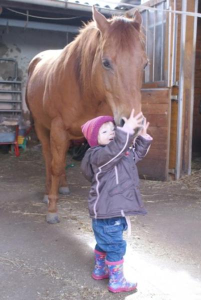 Bild zu 