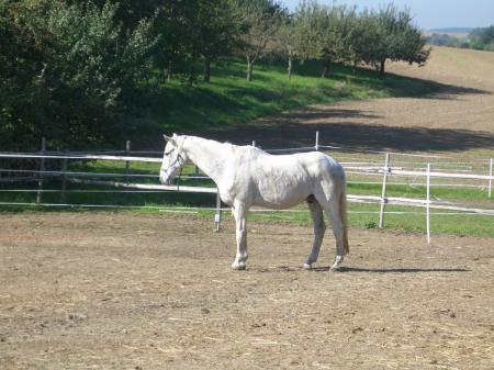 Bild zu 