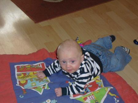 Bild zu 