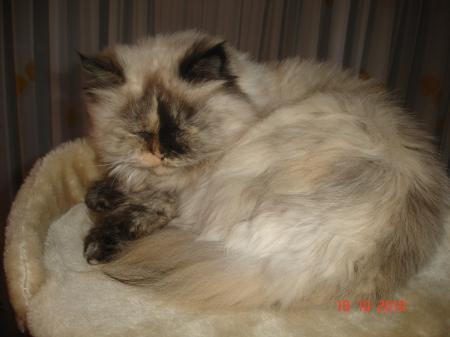 Bild zu 
