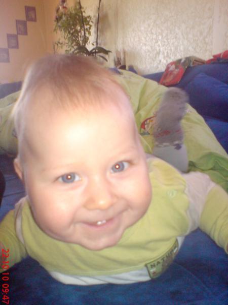 Bild zu 