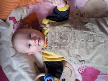 Bild zu 