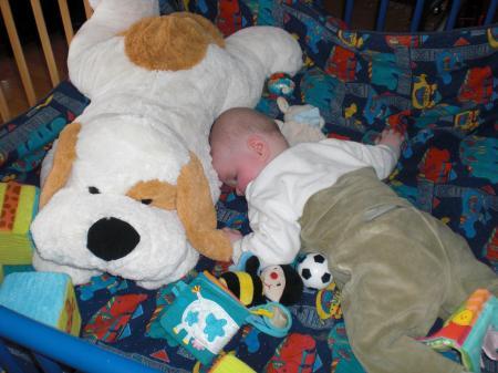 Bild zu 