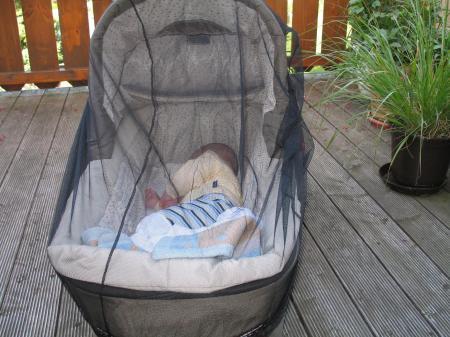 Bild zu 