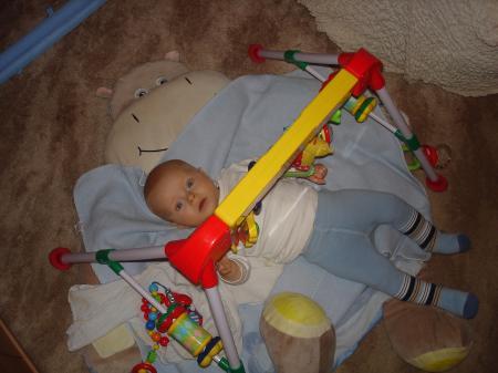 Bild zu 