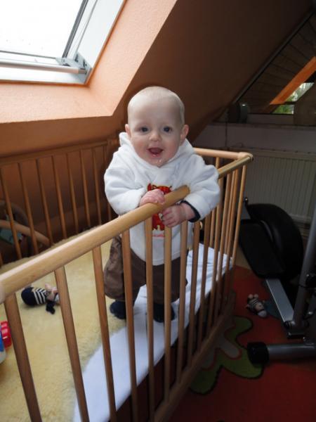 Bild zu 