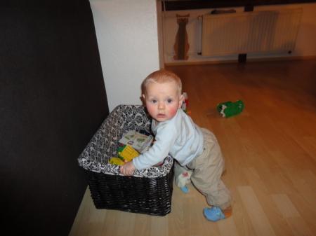 Bild zu 