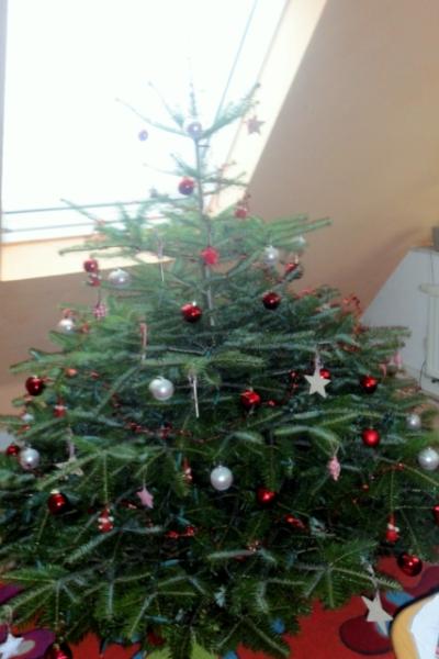 Bild zu 