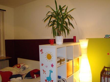 Bild zu 