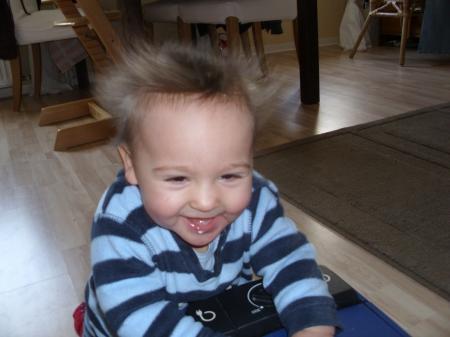 Bild zu 