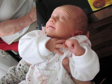Bild zu 