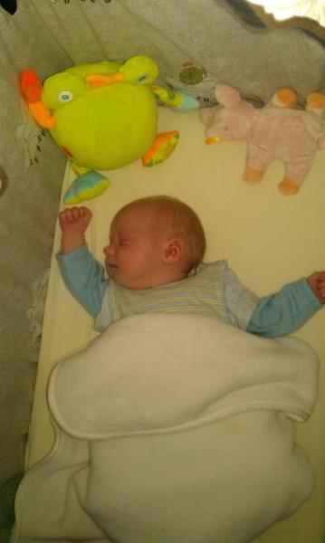 Bild zu 