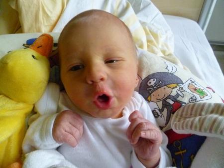 Bild zu 