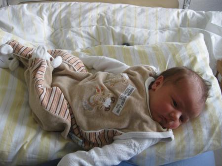 Bild zu