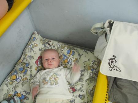 Bild zu 