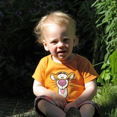 Bild zu 
