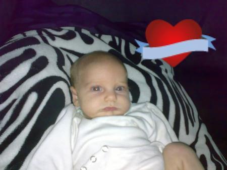 Bild zu 