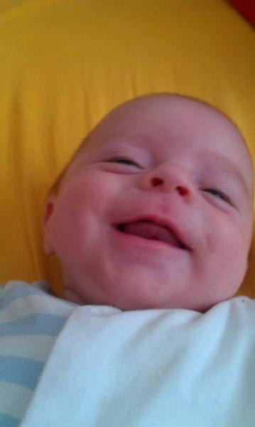 Bild zu