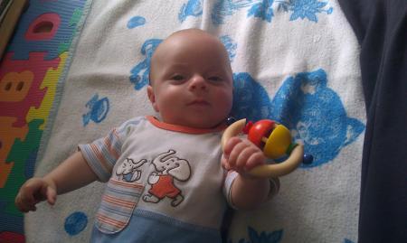 Bild zu