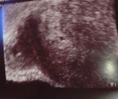 Bild zu Vorstellung mit US-Bildchen :-) - Forum für April - Mamis