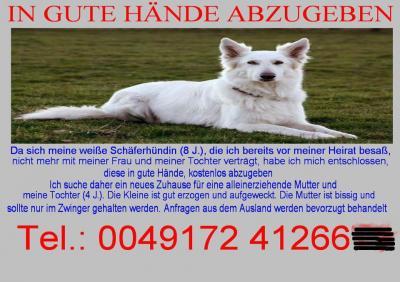 Bild zu Mal was lustiges :-)    Silop - Forum für April - Mamis