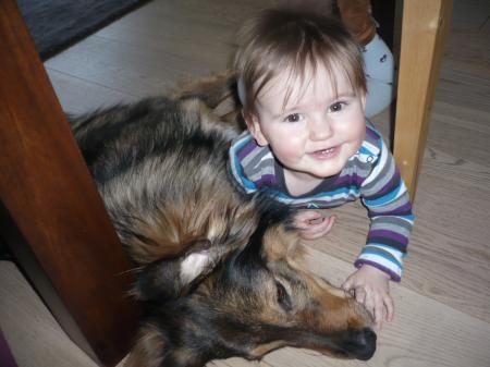 Bild zu 