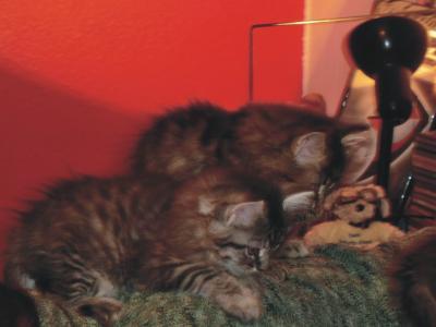 Bild zu Es geht voran- und "mein" Mittel gegen rückenschmerzen - Forum für April - Mamis